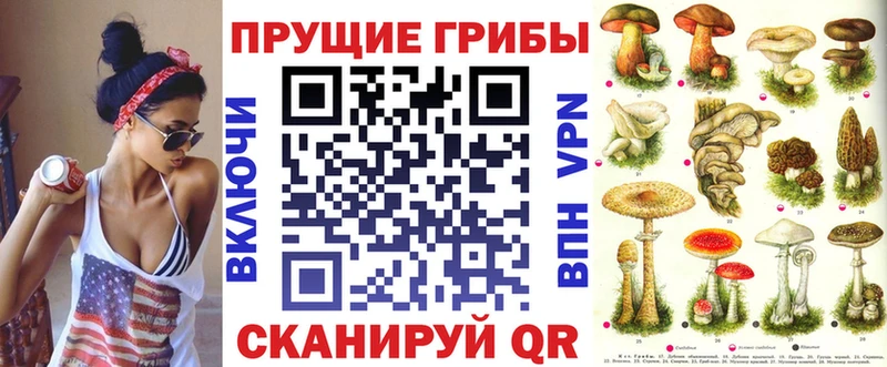 Галлюциногенные грибы Psilocybe Усмань
